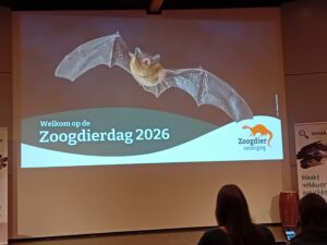 Zoogdierdag 2026