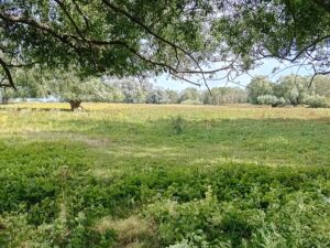 Munnikenland bij Slot Loevestein